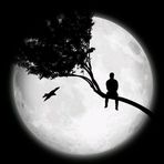 Daniel O'coner - Facebook