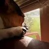 Daniel - @daniel.theodar - TikTok