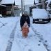 Daniel Odar - Facebook