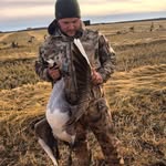 Daniel Oddi - @daniel_oddi - Instagram