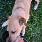 @daniel.oddo.74 - Instagram