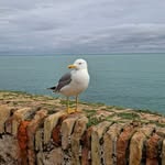 Daniel Oddone - @daniel.oddone.06 - Instagram