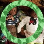 Daniel Odongo - @daniel.odongo.90038 - Instagram