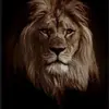 danieloduro0295 - @danieloduro0295 - TikTok