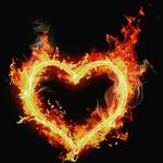 Danielle_Offensive - @daniel_offensive - Instagram