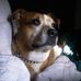 Daniel L. Offutt - Facebook