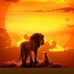 Daniel Ogbeide - Facebook
