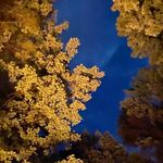 Daniel Ogren - @daniel.ogren - Instagram