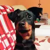 Daniela Ogrodnik - @daniela.ogrodnik - TikTok