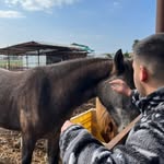 Daniel Ohana - @daniel.ohana.359 - Instagram