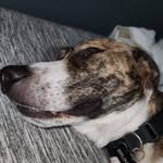 Daniel Okrent - @danielokrent - Instagram