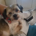Daniel Olin - @daniel.olin.1 - Instagram