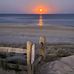 Daniel Olin - Facebook