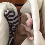 Daniel Olmedo - @daniel.olmedo.50159 - Instagram
