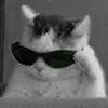 daniela olmstead - @daniela7olmstead - TikTok