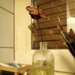 Daniel Opel - @lostlife555 - Instagram
