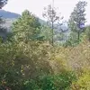 Dani - @danielorlando64 - TikTok