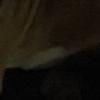 daniel_lorn - @daniel_lorn - TikTok
