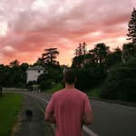 Daniel Orso - @danielorso_ - Instagram