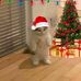Daniel Ortiz - Facebook