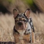 Daniel Ortuno - @daniel_ortuno_o - Instagram