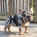 Daniel Vero Ortuno - Facebook