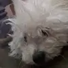 . - @ortunomdaniela - TikTok