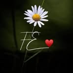 Daniel Osias - Facebook