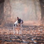 Daniel Ostermann - @daniel_ostermann_photographie - Instagram