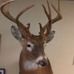 Daniel Overton - @overtondaniel2 - Instagram