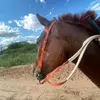 Daniel Palma   - @daniel.palma832 - TikTok