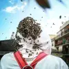 Daniel Palmieri - @daniel.palmieri89 - TikTok