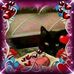 Daniela Pandolfi - Facebook