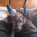 Daniel Paramo - Facebook