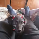 Daniel Paramo - @danie.lparamo - Instagram