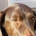 Daniel Pariseau - Facebook