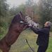 Daniel Pariseau - Facebook