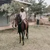 Daniel Parry - @daniel.parry2 - TikTok
