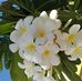 Daniel Pascua - Facebook