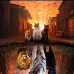 Daniel Paternina - Facebook
