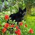 Daniel Patten. - Facebook