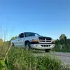 Daniel Payne - @payne.go.bang - TikTok