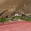 Daniel Pecora - @daniel.pecora0 - TikTok