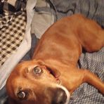 Daniel Penrod - Facebook