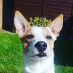 daniel_penzo - @daniel_penzo - Instagram