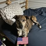 Daniel Perkins - Facebook