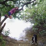 Daniel Perryman - @elvistheworkingbordercollie - Instagram