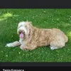 Daniel Perryman - @danielperryman766 - TikTok