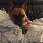 Daniel Petit - @daniel.petit.35513 - Instagram