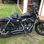 Daniel Petrone - @danielpetrone - Instagram